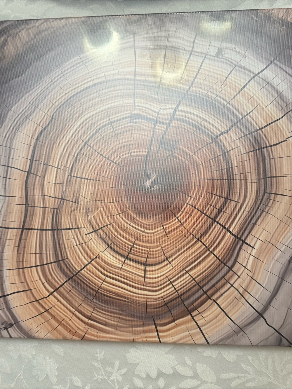 Wood Grain Tree Ring Canvas Wall Art in Brown